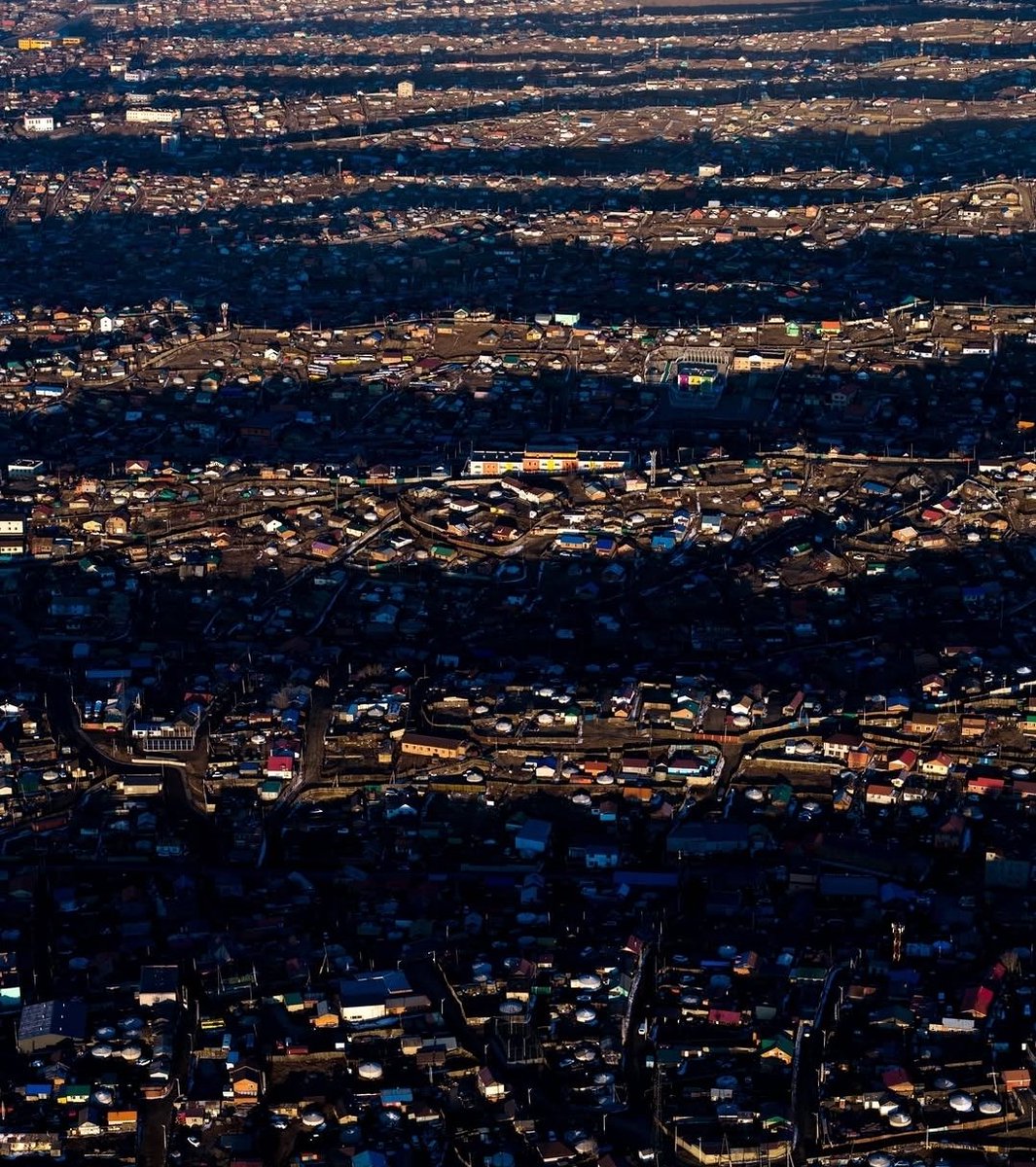 Шарайд tweet media