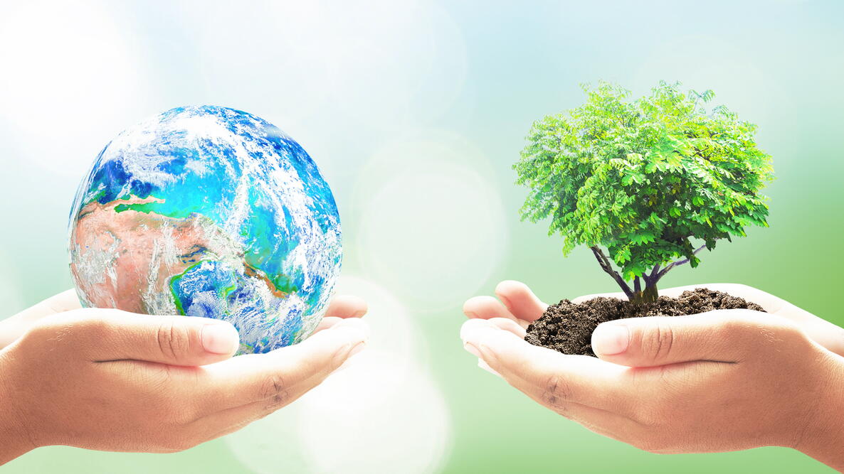 From the <a href="/NUMCGreenTeam/">NUMC Green Team</a>    Today, Wednesday, April 22, is Earth Day! This year's theme is "Our Power, Our Planet." You can learn more at this link. Here are 10 ways to celebrate and other info courtesy of the "Old Farmer's Almanac."