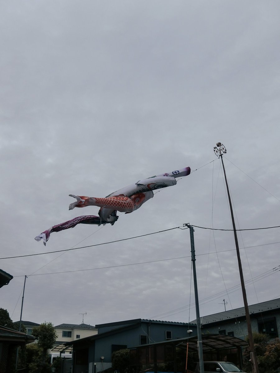 27kanade_AiRu's tweet image. 絡まる

#Casio