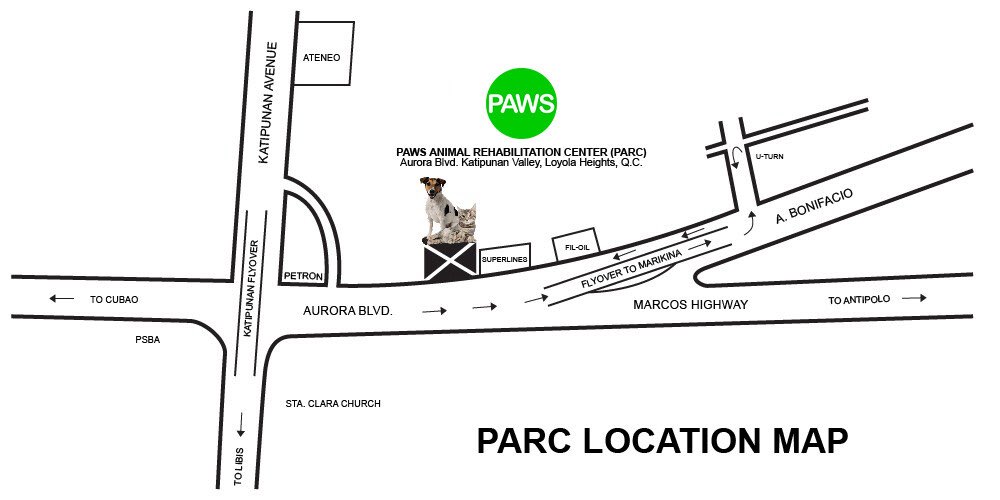 PAWS Philippines tweet media