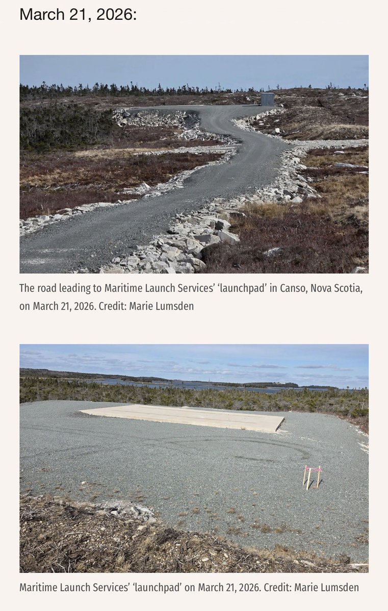 Stephen Punwasi 🏚️📉🐈☃️ tweet media