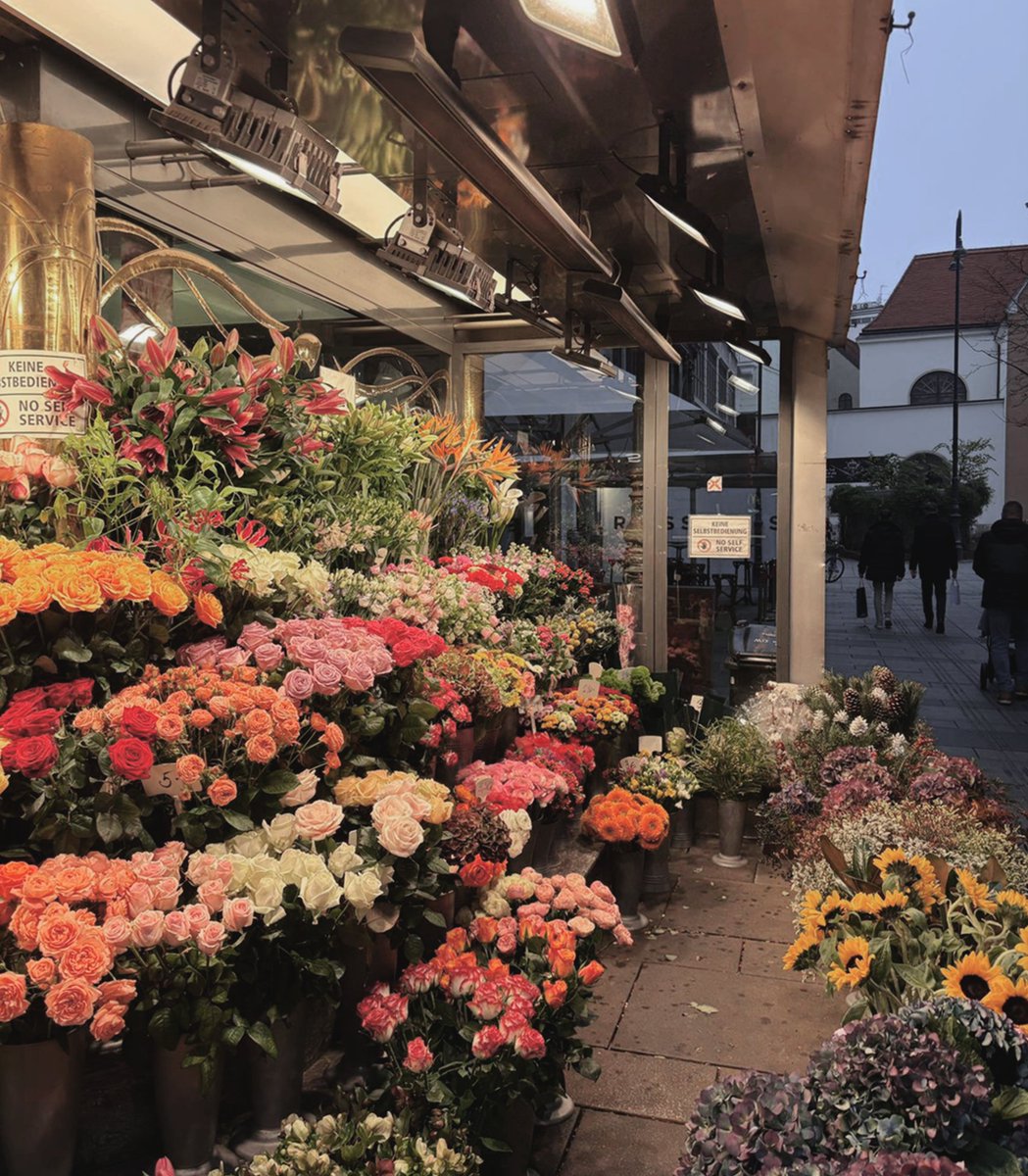 KATHRINE tweet media