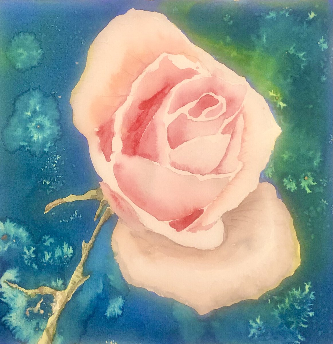 purpleartist44's tweet image. @DailyPicTheme2 #raindrops and roses - well I got the roses bit right ! Small watercolour completed for a 23minute challenge! It’s available
