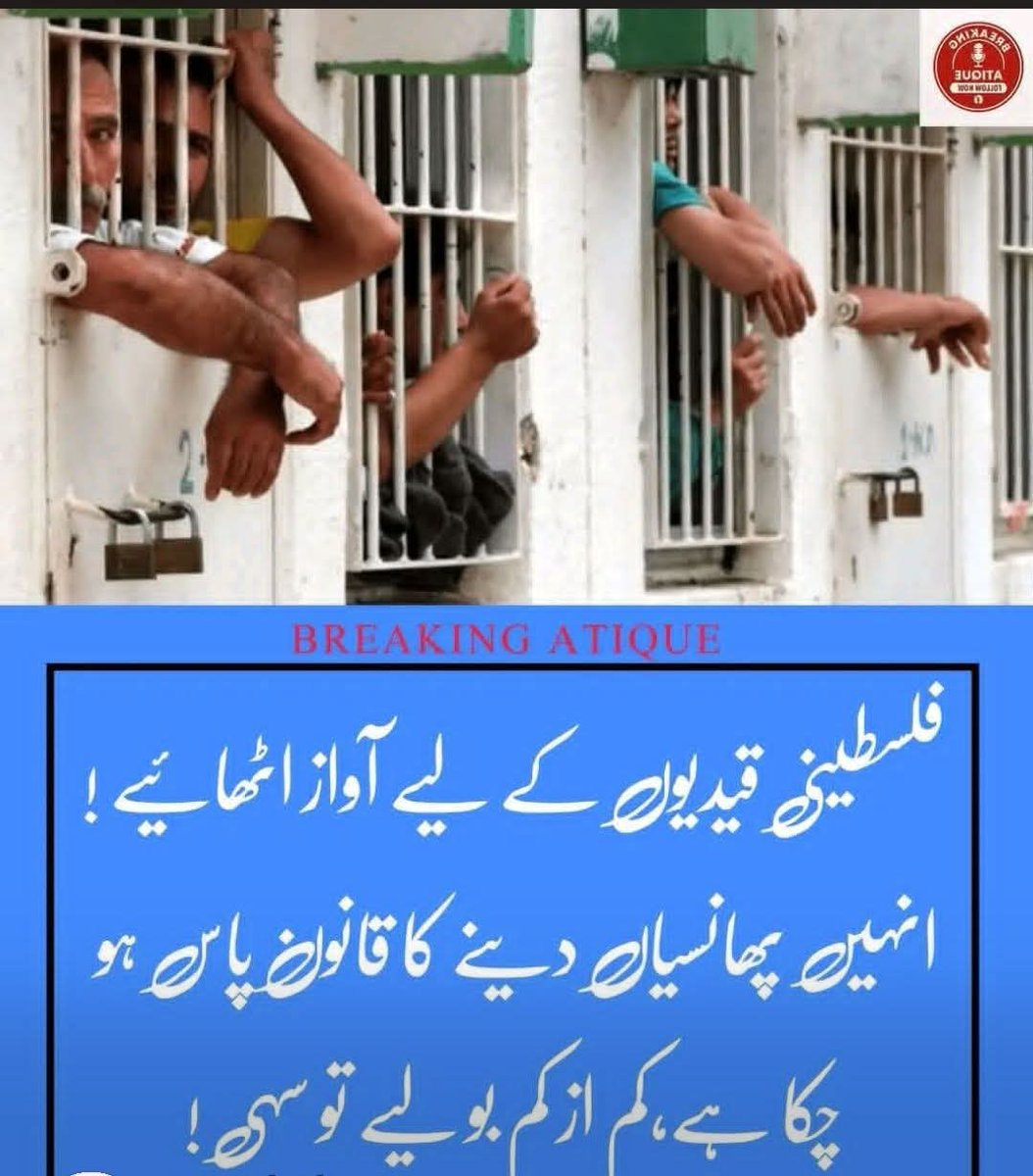 فلسطینی قیدیوں کے لیے عالمی سطح پر آواز بلند کرنے کی اپیل کی جا رہی ہے۔ رپورٹس کے مطابق ان کے لیے چھانسیاء دینے کا قانون پاس ہو چکا ہے، لیکن انسانی حقوق کے کارکنوں کا کہنا ہے کہ کم از کم عوام کو بولنا اور احتجاج کرنا چاہیے تاکہ ان مظلوم قیدیوں کی حالت بہتر ہو سکے۔ 
🇵🇸