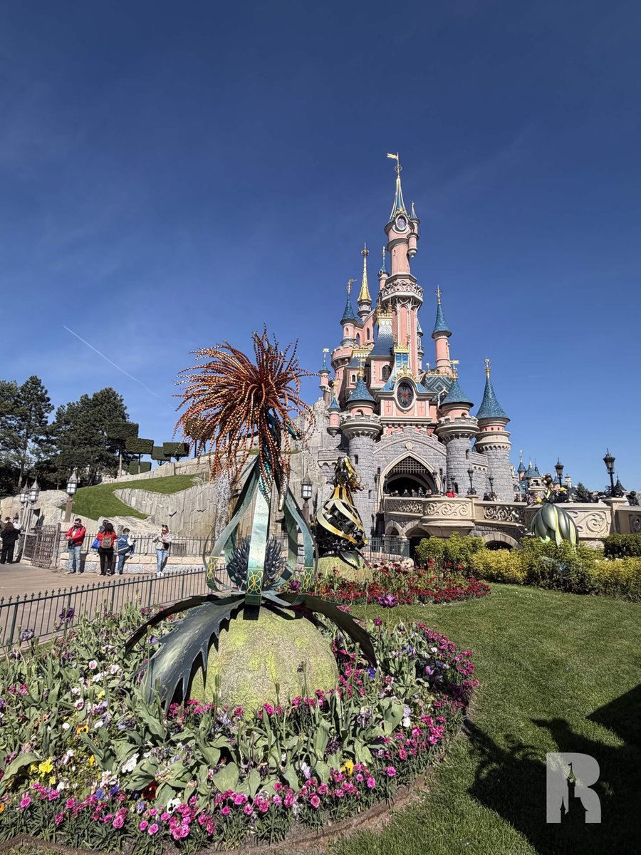 DLP Report tweet media