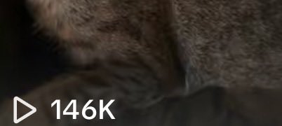 ذكرى🪐 tweet media