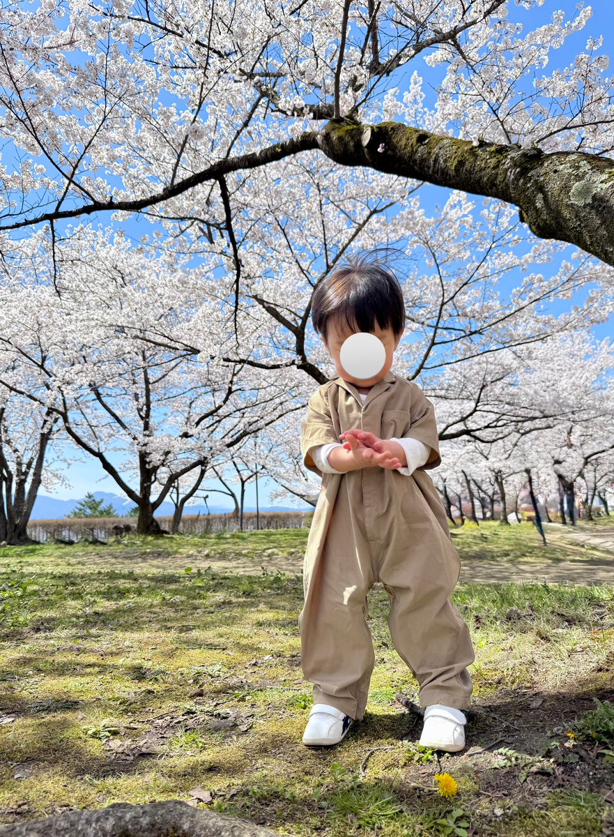 ちょこたろう tweet media