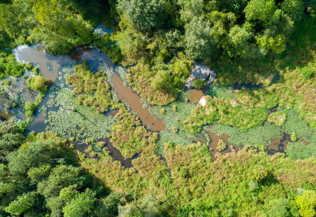 Wake County Parks tweet media