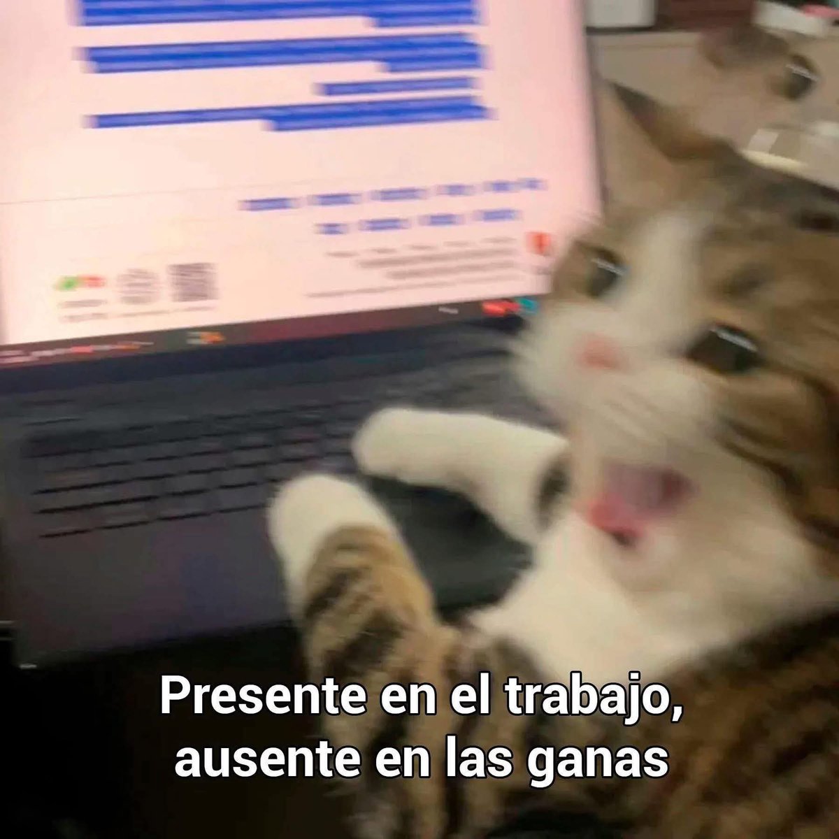 la oficina tweet media