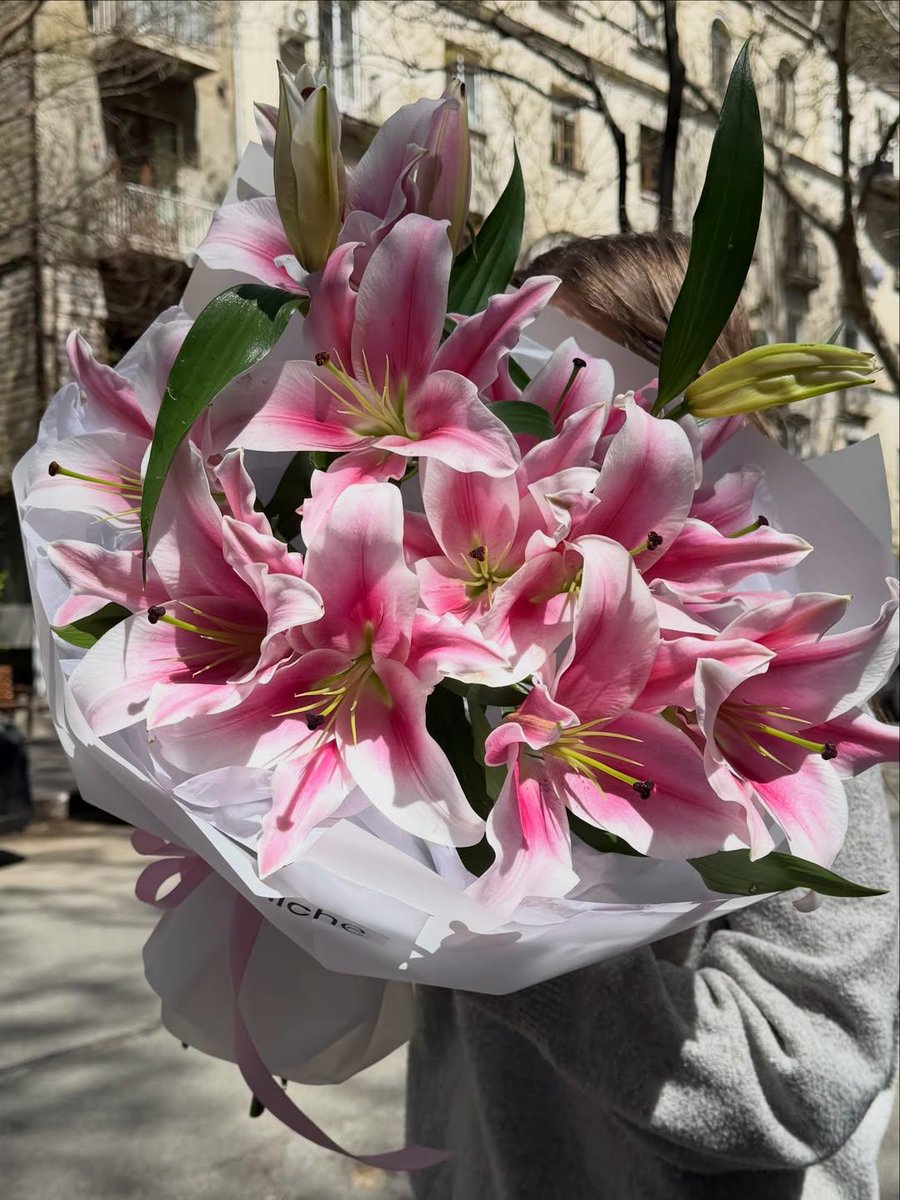 blossom library (@blossom_library) on Twitter photo 