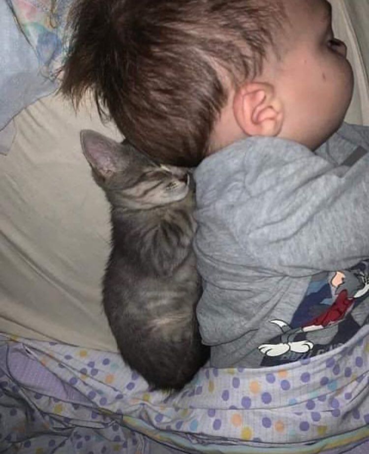 TheCatsX's tweet photo. baby with baby https://t.co/3H7YBlwU4v