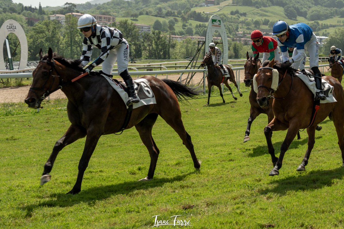 isaacfotografia's tweet photo. Cuarta  carrera Premio Ormazabal loradends. Caballo ganador Pinsapo, monta D. Sikorová, preparador J.C. Rosell y propietario C. Cometa.
📸 @isaacfotografia  
@HipodromoSnSn @HipodromoMadrid @isa_landa86 @ImanolArruti https://t.co/pvstIXFz3m