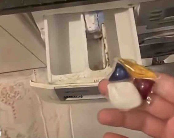 ᴀᴢᴍɪ̇ tweet media