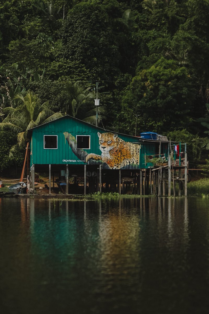Serra da Valéria • Parintins / Am