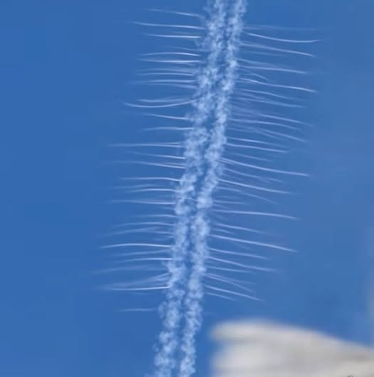 DELTA9_DELTA9's tweet image. its got legs🤣#geoengineering