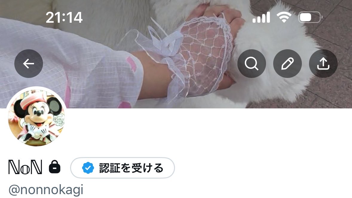 ℕ𝕠ℕ tweet media