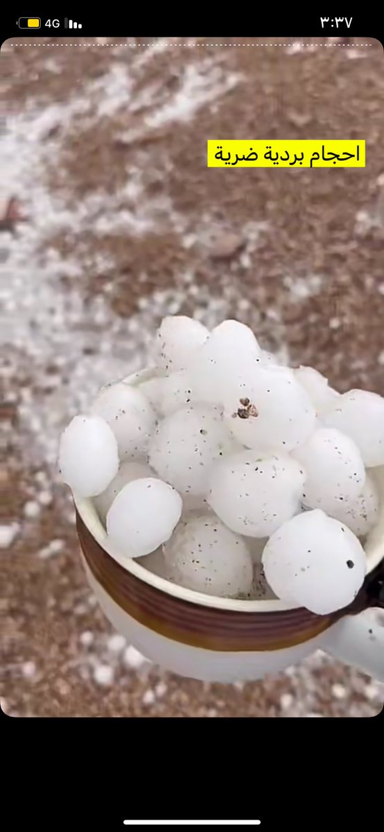 العضياني tweet media