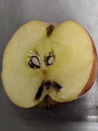 MoonToken tweet media