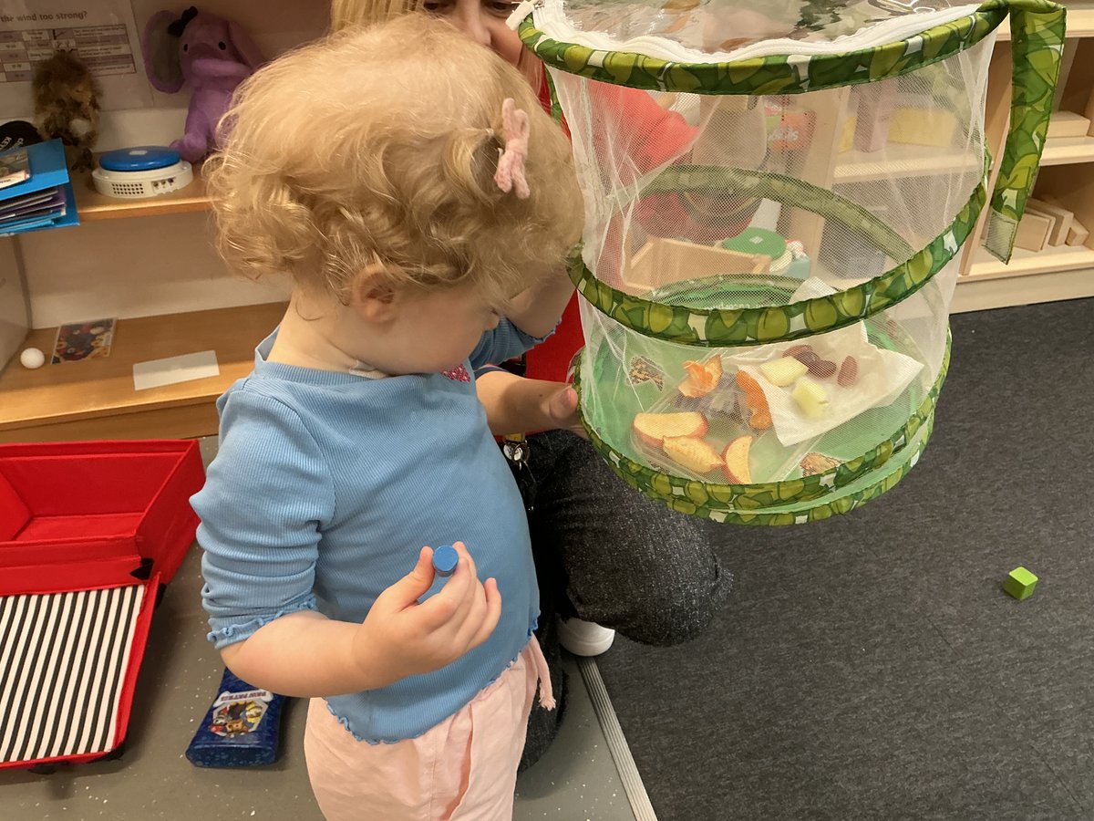 school_keys's tweet photo. Can you spot the butterfly in our flowers? 🌺 🦋 #learningthroughplay #earlyyears #spring #flowers #nature #realisingtheambition #beingme #STEM 🦋 https://t.co/fTDmwHSJZW