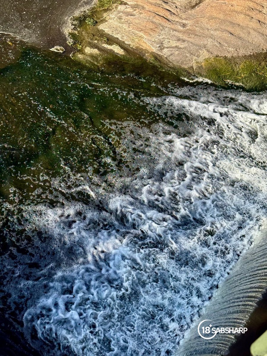 ThabisoJoburg's tweet image. Sometimes the best reset is stepping outside 🌍
Fresh air, quiet moments, and a reminder that the little things matter.

@corona 

#EarthDay2026 #ThisIsLiving #Ad