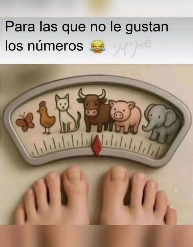 JavierElreyAzu1's tweet photo. 😂😂😂 cuanto pesas? 👇 https://t.co/gVVM8bL2jP