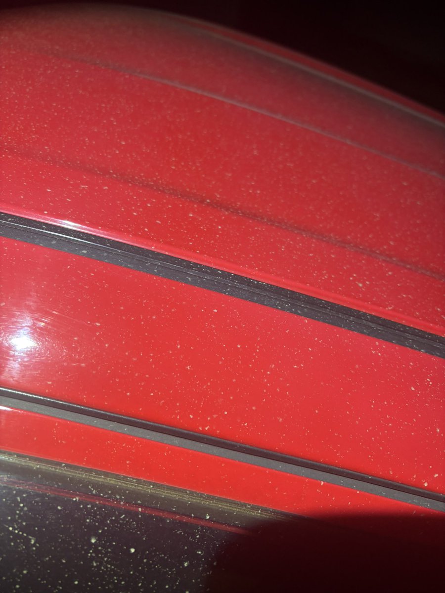 まんじゅう tweet media