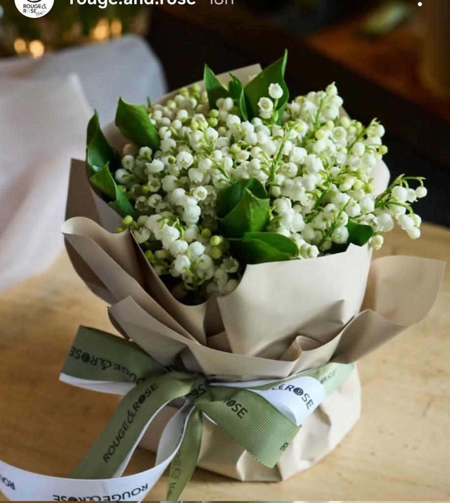 ĸιмιa tweet media