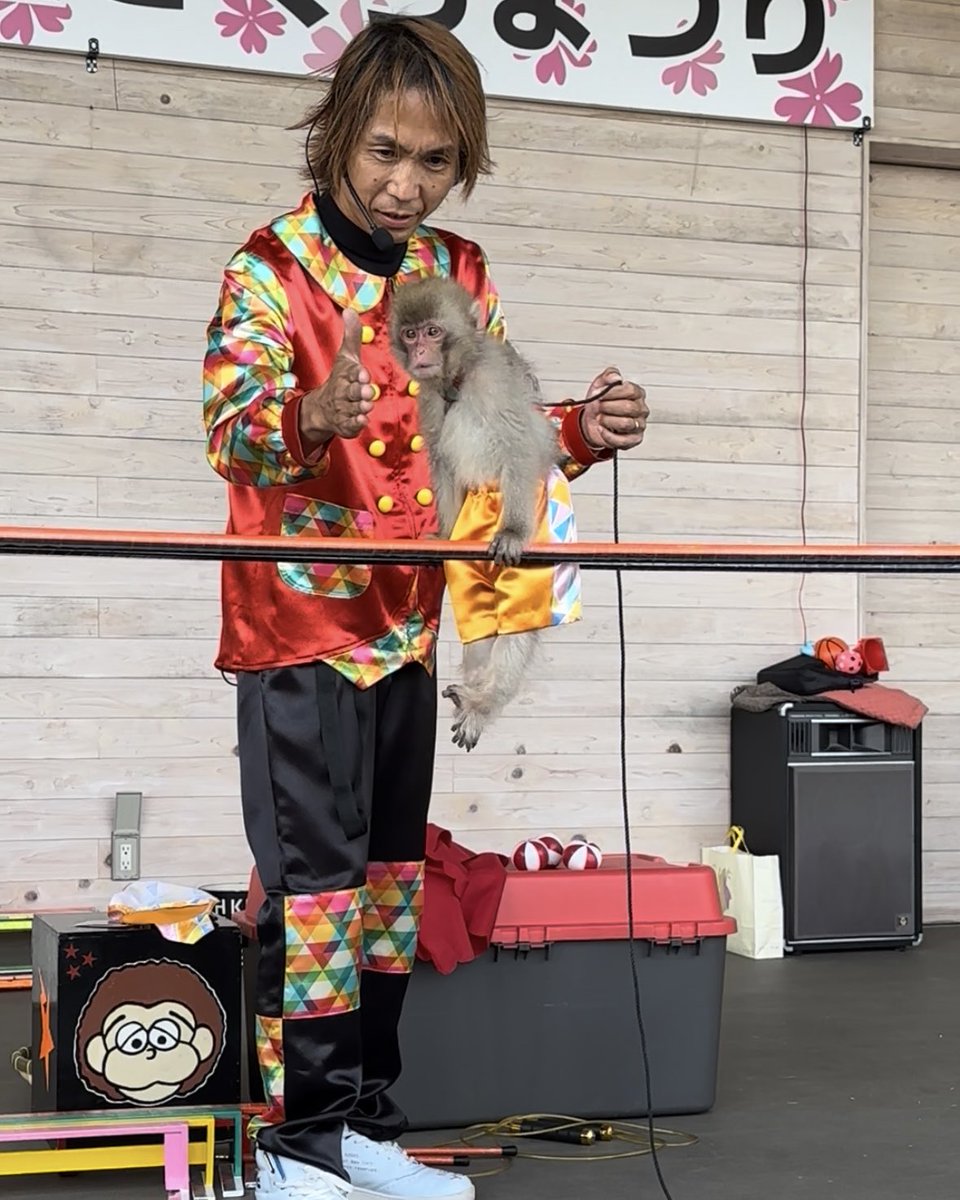 tkmin_monkey's tweet photo. ←2025年　　　2026年→

角度が違うから比較しづらいけど、身体もがっしりとして表情がキリッとお兄さんになってて成長を感じる🥹🥹🥹

50歳の利美さんは一年前より短髪になりましたね🤭笑 https://t.co/x0yEyCUpTP