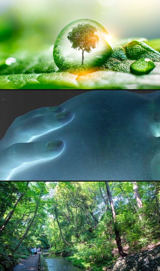 𝐌𝐢𝐧𝐚 tweet media