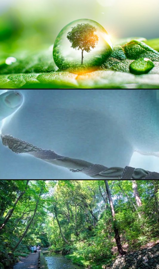 𝐌𝐢𝐧𝐚 tweet media