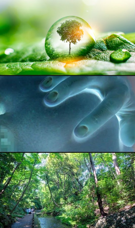 𝐌𝐢𝐧𝐚 tweet media