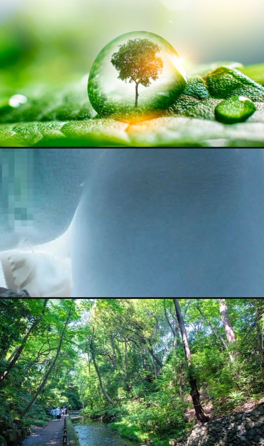 𝐌𝐢𝐧𝐚 tweet media