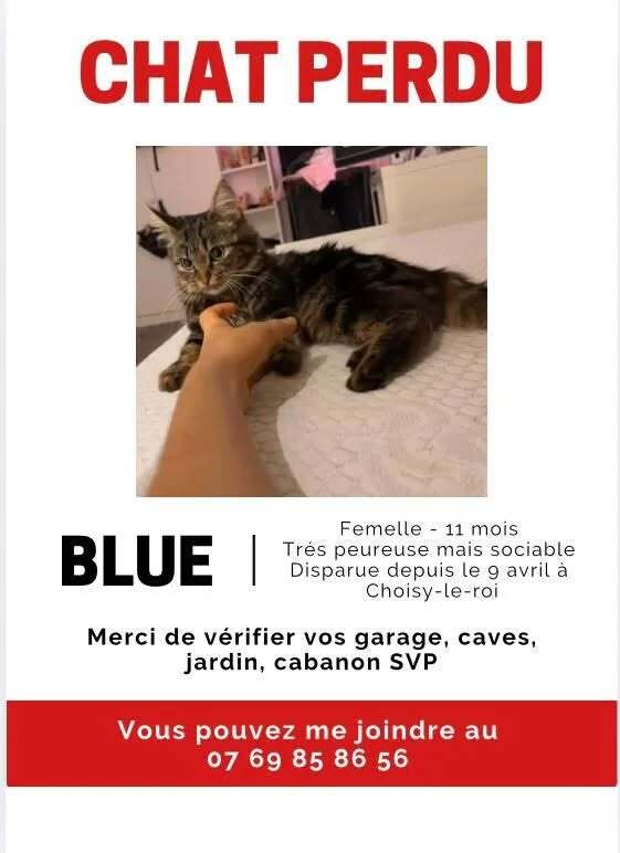 VigiPets.fr tweet media