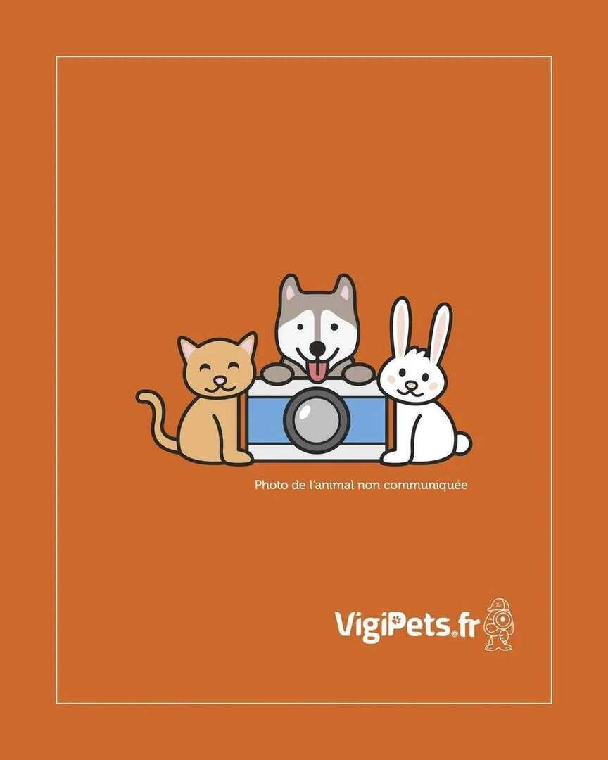 VigiPets.fr tweet media