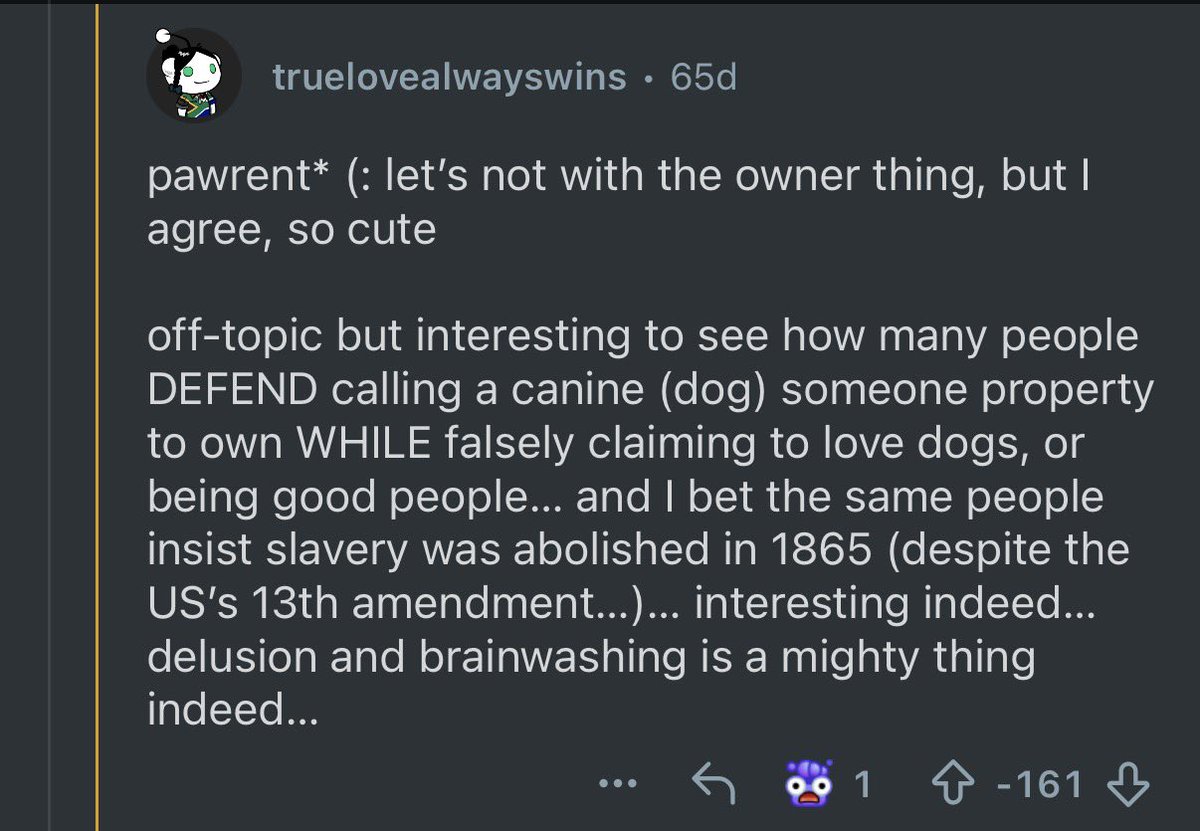 lisa barlow-hochstein tweet media