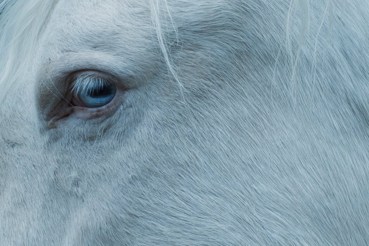 ぼんやり tweet media