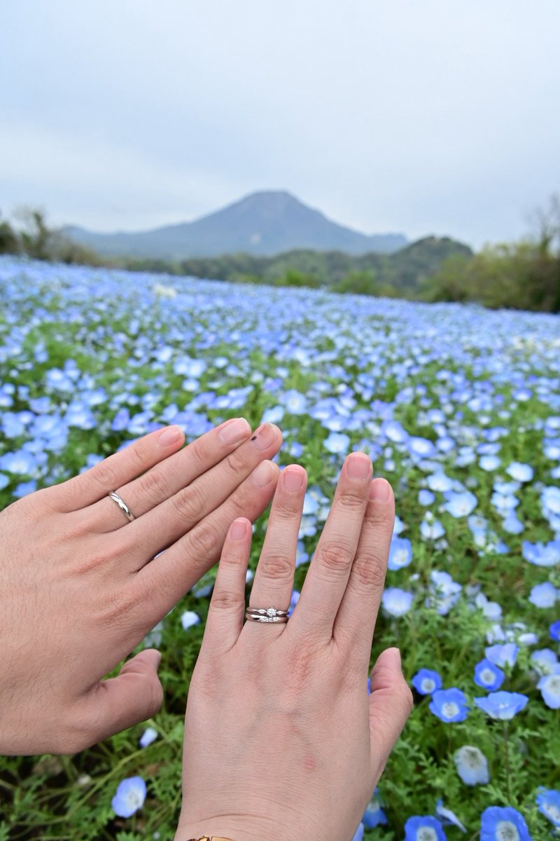 こつめ tweet media