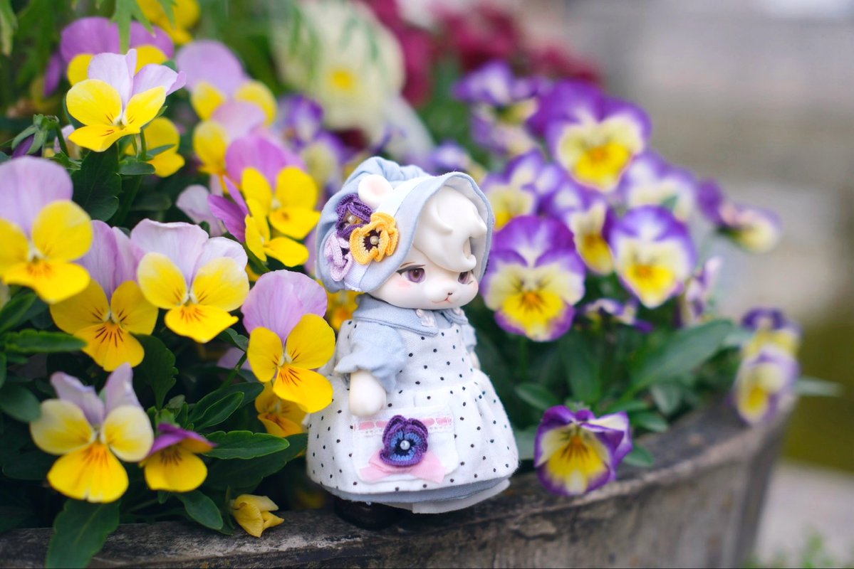 よし玉 tweet media