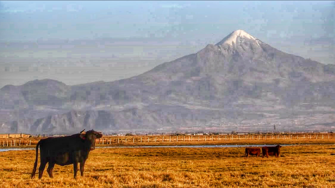 titafa's tweet photo. Día de la Tierra .
Responsabilidad compartida, el cuidado del medio ambiente y la gratitud hacia nuestro hogar común. https://t.co/zcSc8j4yUm