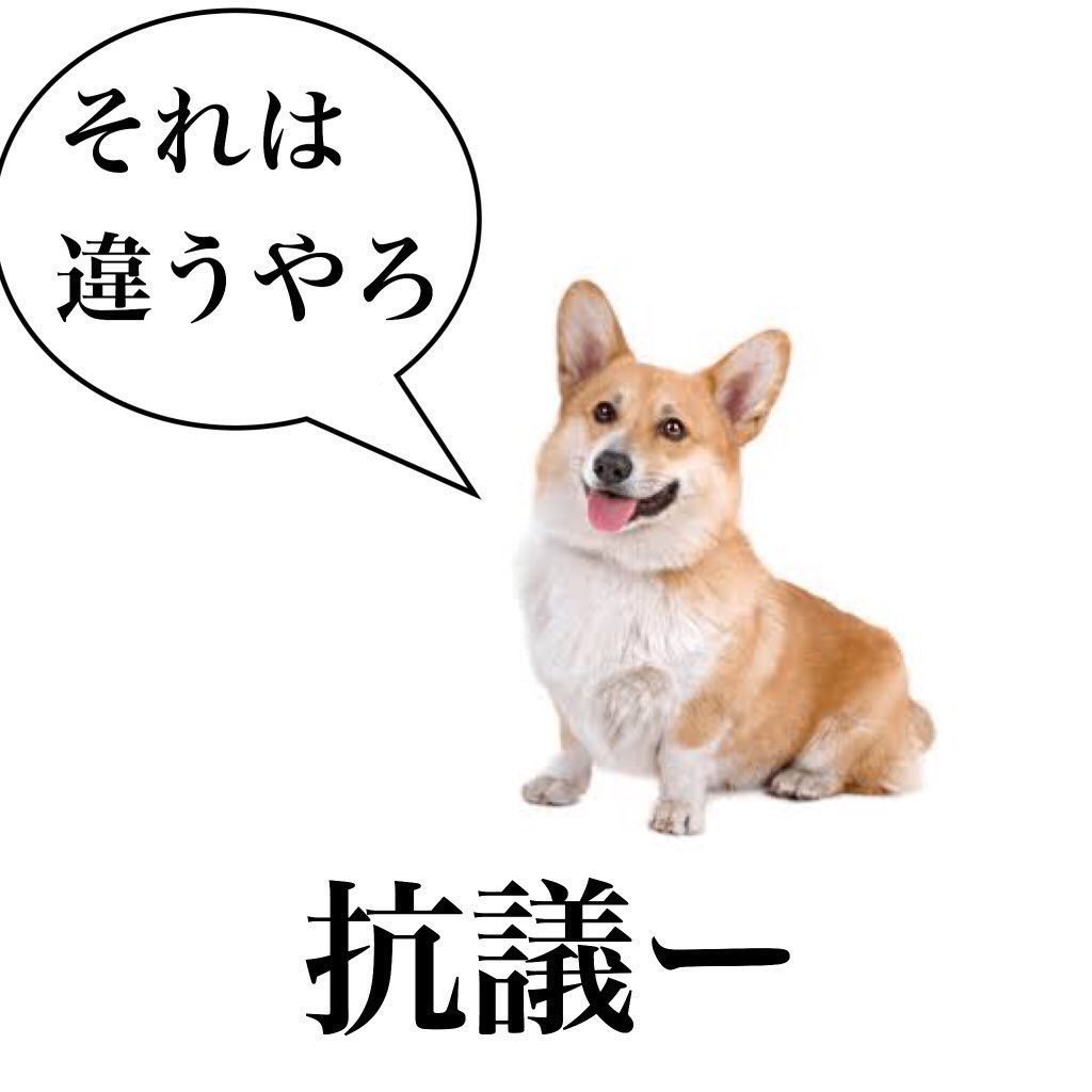 ゼルパイ†angel pie† tweet media