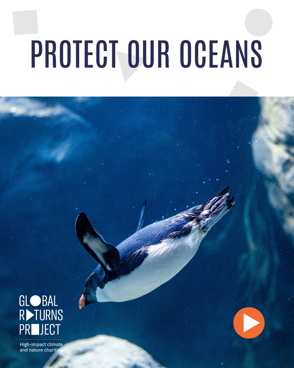 global_returns's tweet photo. pt 1) Happy Earth Day from the Global Returns Project!💚 

On Earth Day, we tend to reflect on individual ways to protect our planet - things like cycling to work, consuming responsibly sourced foods, and avoiding single-use plastic. 

What else can you do? https://t.co/tIeGyXAkad