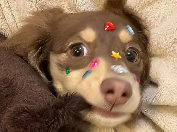 달 ˚.* tweet media