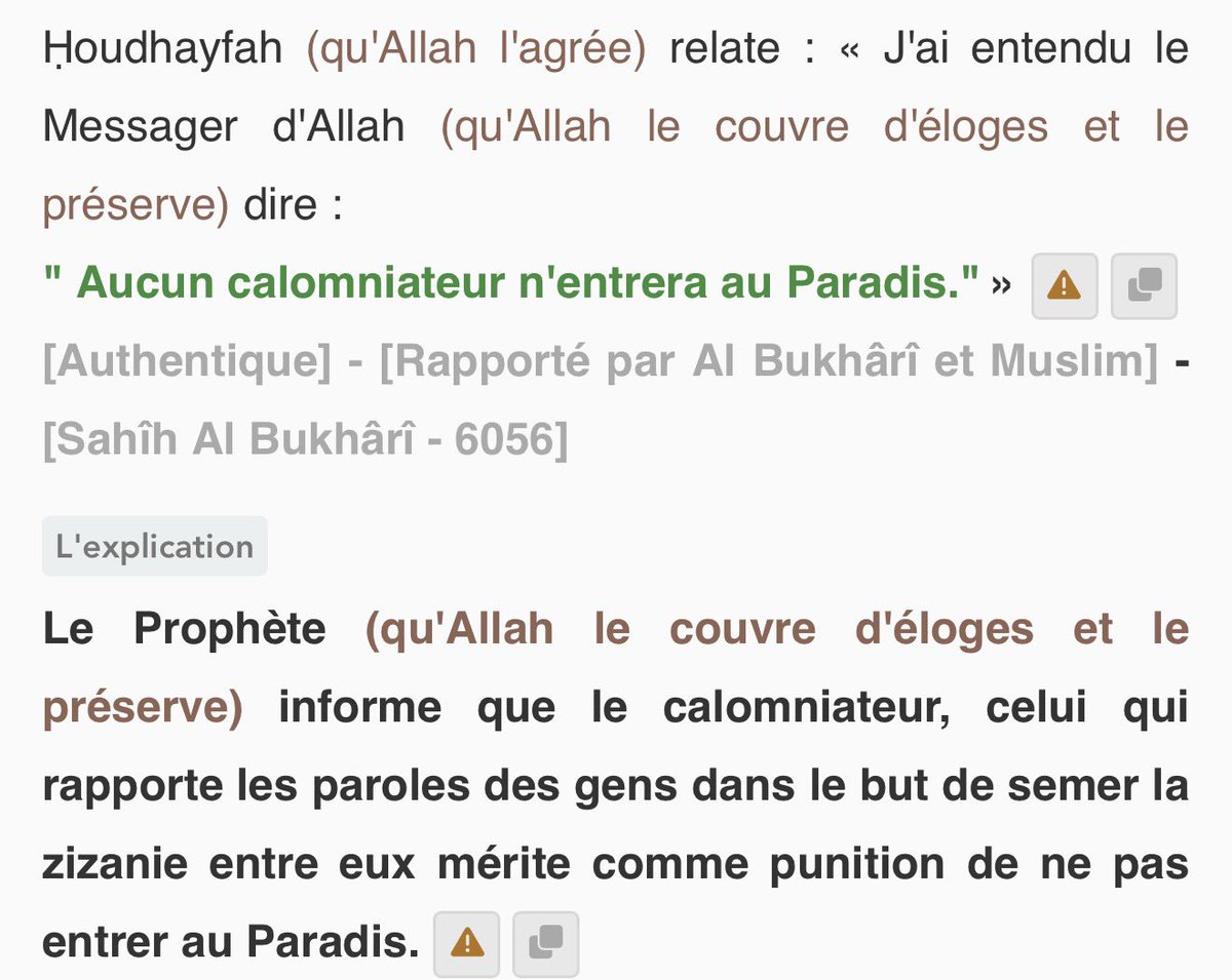 le docteur 🇵🇸 tweet media