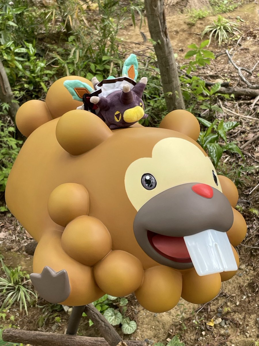 ✴︎トモうぬ✴︎ tweet media