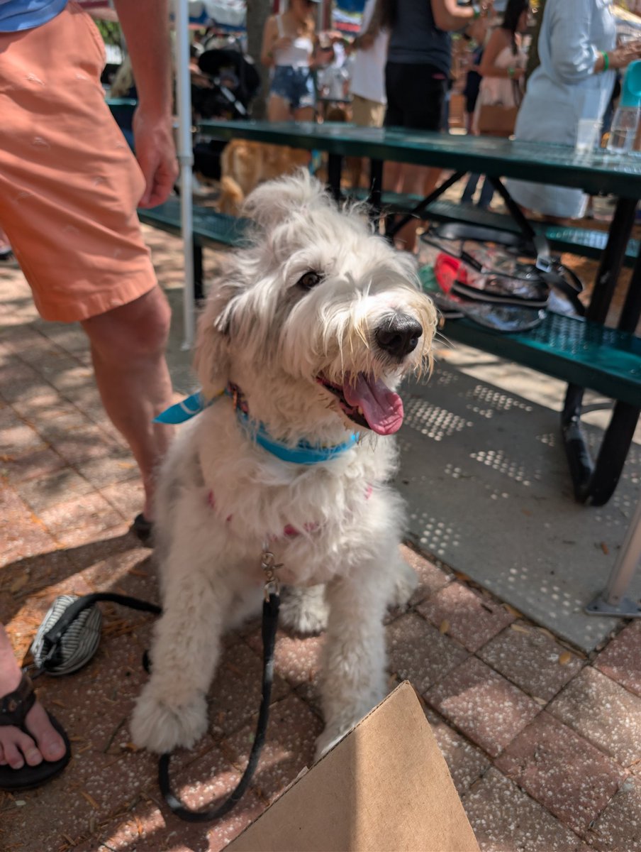 Rachel Mullins tweet media