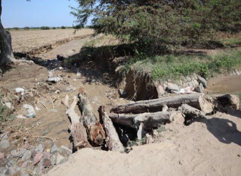 COENPeru's tweet image. 📢 #Ica | Gobierno local realiza la #EDAN y coordina con la Agencia Agraria y la Junta de Usuarios de Riego la evaluación y rehabilitación de la zona afectada ante el desborde de un canal de riego ocurrido el 20/4, que ocasionó daños en la producción agrícola en el sector Lateral