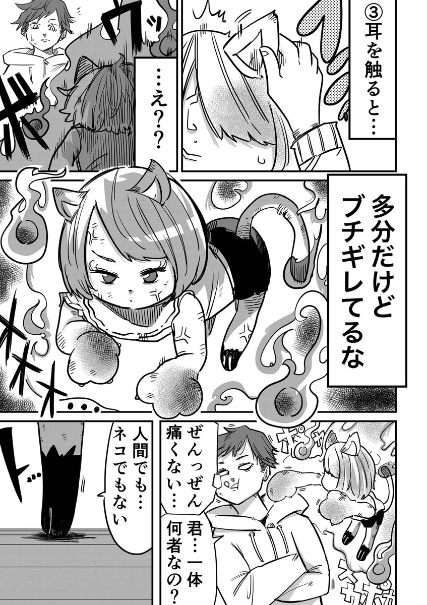 【漫画】ネコムスメを拾って一緒に暮らす話(2/9) 