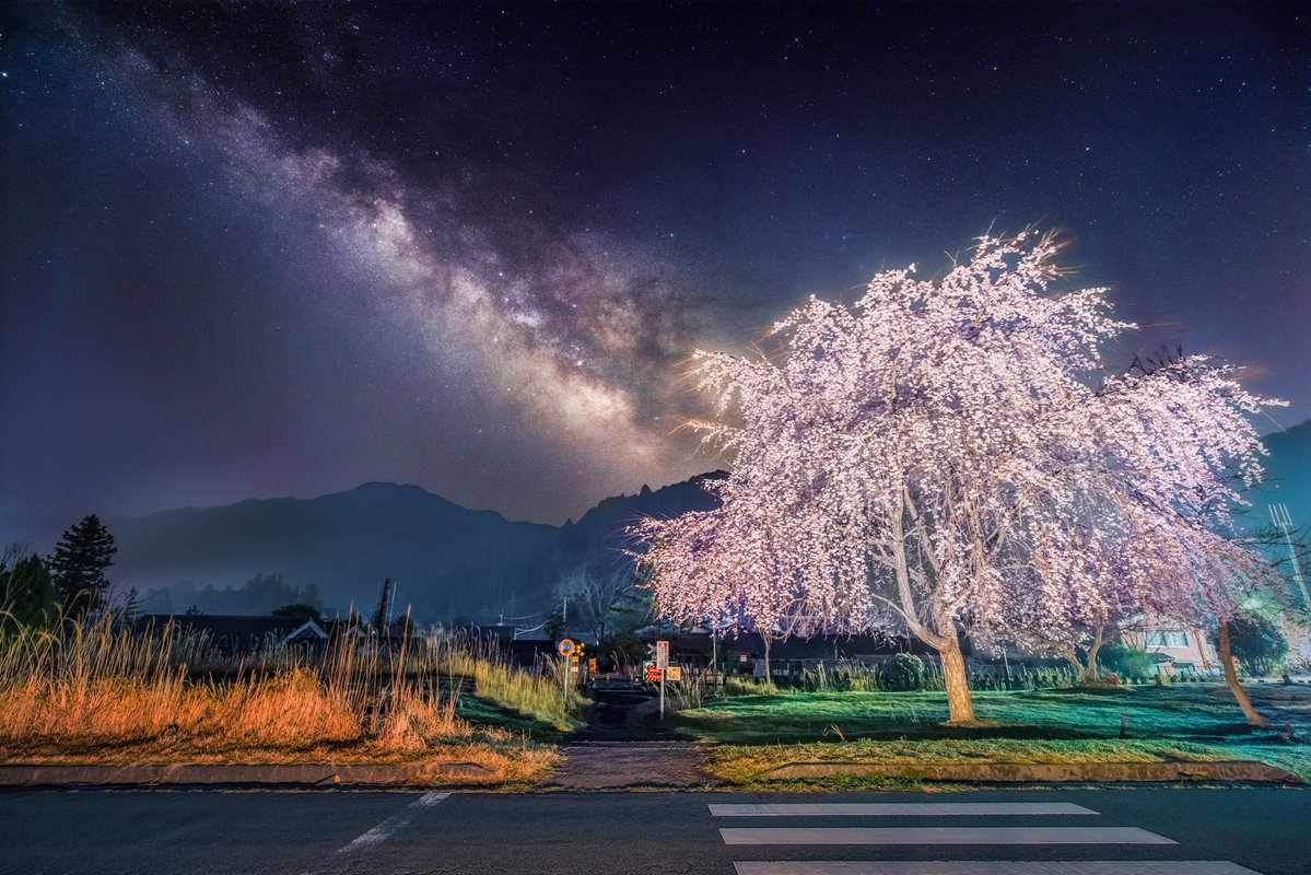 38(独りぼっちの写真展) tweet media