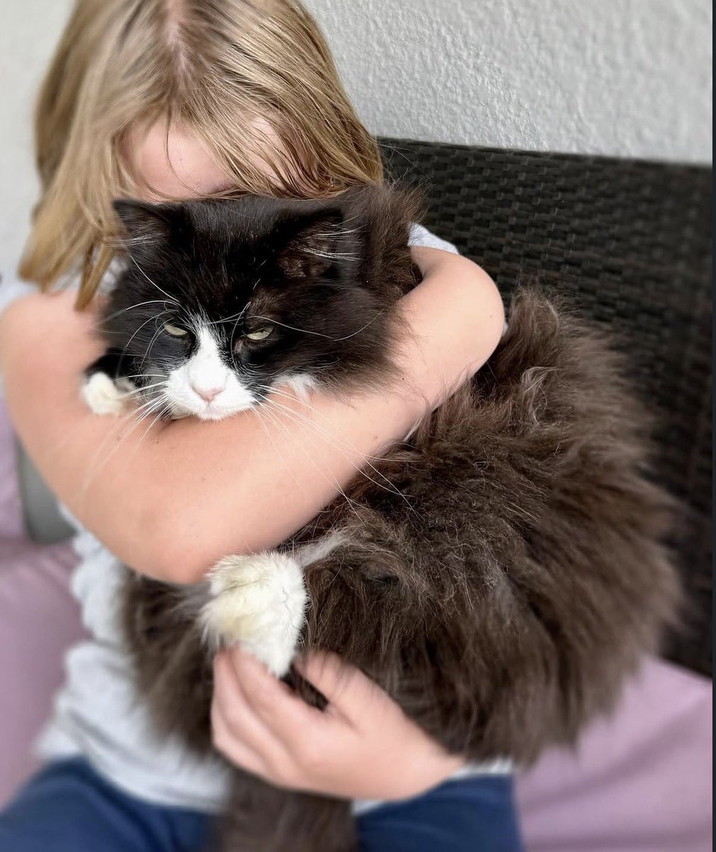 The Redheaded libertarian tweet media