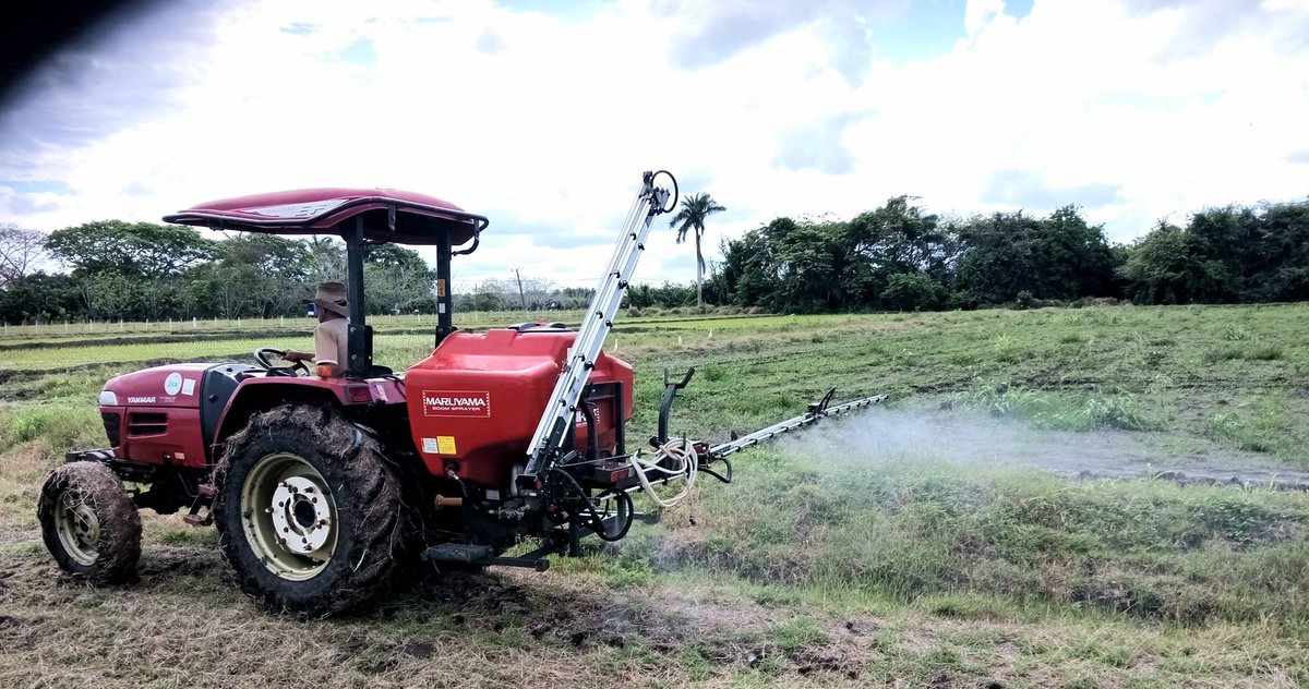 UCTB Sur  del Jibaro,  semilla básica, variedades Selección 1, IACuba-47, ViBa-17, aseguramiento para la producción arrocera. #CienciaCubana #SanctiSpíritusEnMarcha <a href="/DeivyPrezMartn1/">Deivy Pérez Martín</a> <a href="/AlexisLorente74/">Alexis Lorente Jiménez</a>